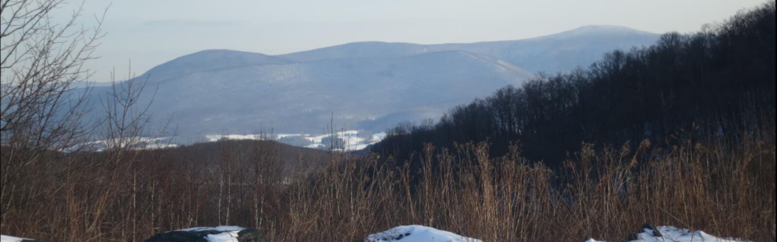 Randonnée Mount Fitch, Massachusetts - vue panoramique