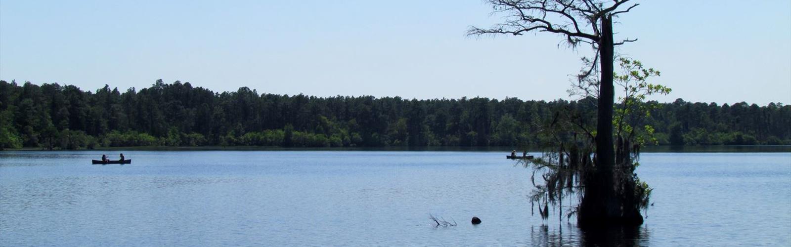Singletary Lake trail - hiking in Central Massachusetts