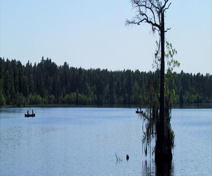 Sentier lac Singletary - randonnée en Centre du Massachusetts