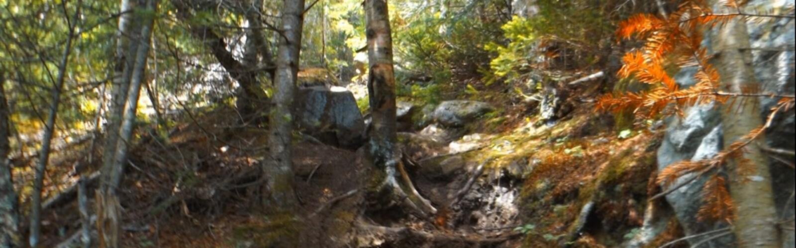 Hiking Lost Pond Peak, New York - panoramic view