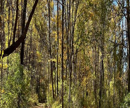 Lehigh Valley Trail trail - hiking in Capital-Saratoga