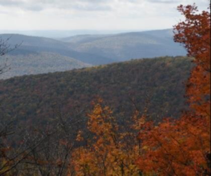 Balsam Lake Mountain, New York trail - hiking in Catskills