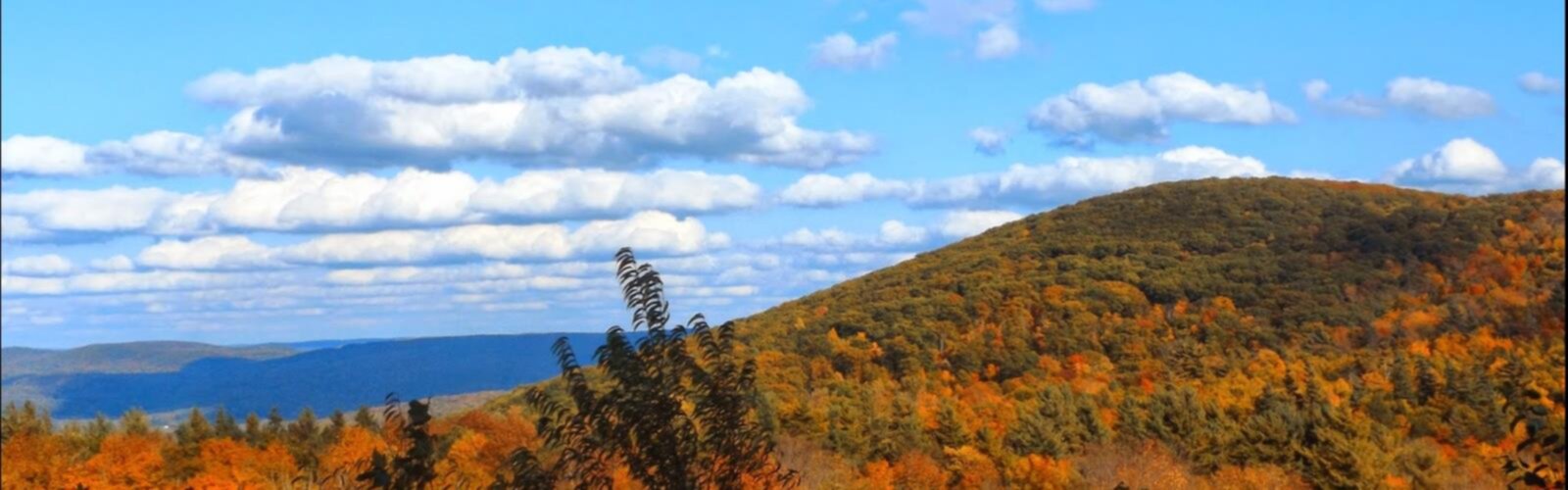 Hiking Harvey Mountain, Massachusetts_New York - panoramic view