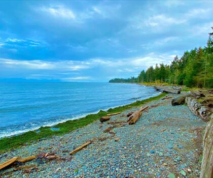 Miracle Beach trail - hiking in Vancouver Island
