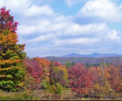 Peekamoose Mountain, New York trail - hiking in Catskills