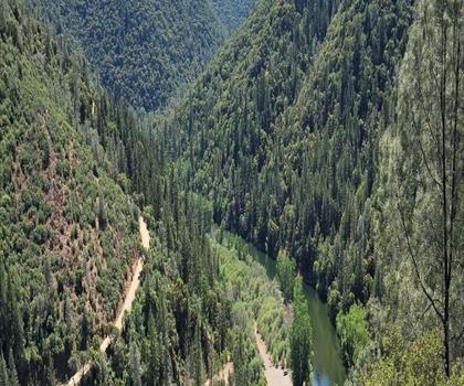 Stony Hill, California trail - hiking in Gold Country