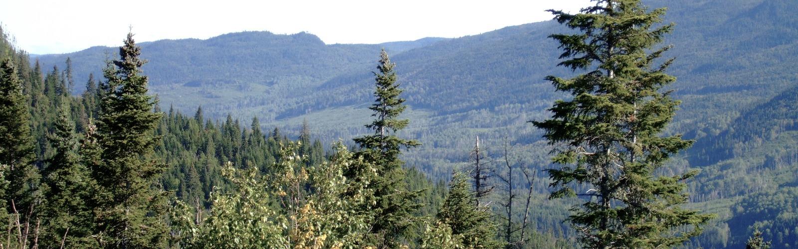 Sentier Mont Apica - randonnée en Saguenay - Lac-Saint-Jean