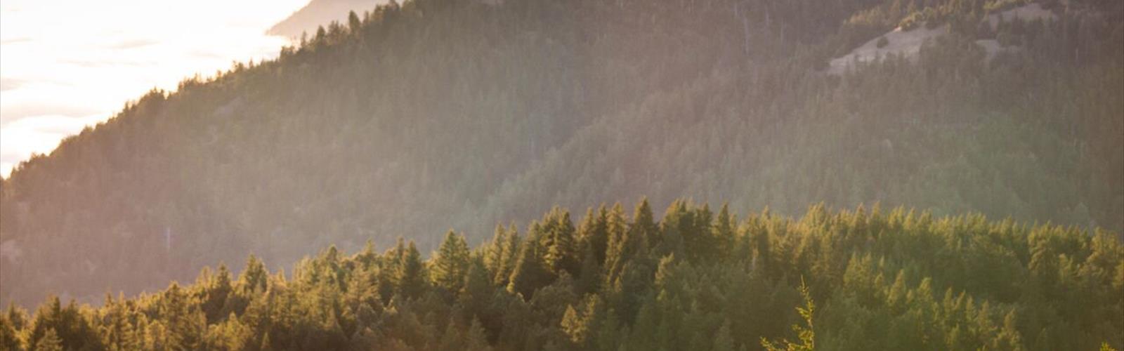 Salmon Mountain, California trail - hiking in Shasta Cascade
