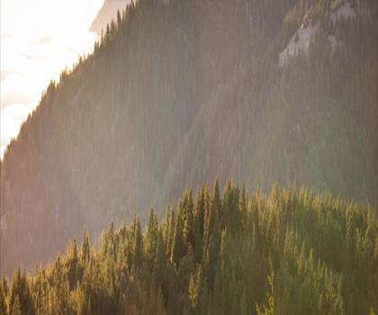 Salmon Mountain, California trail - hiking in Shasta Cascade