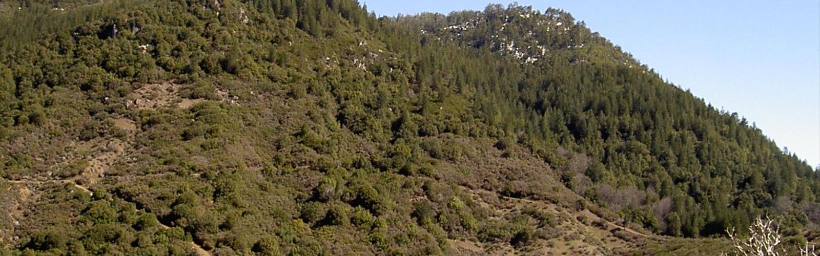 Cobb Mountain, California, North Coast