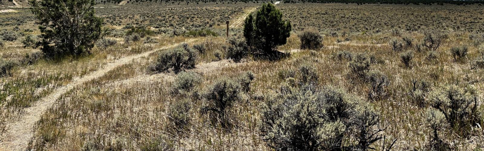 Ward Mountain, Nevada, Nevada
