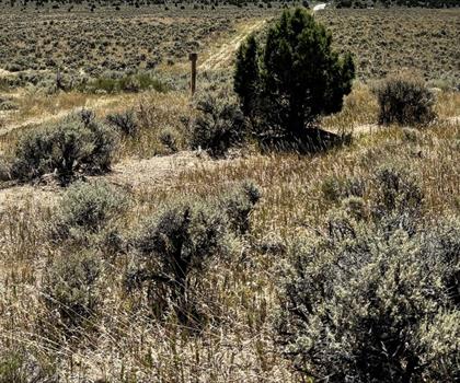 Ward Mountain, Nevada trail - hiking in Pony Express Territory