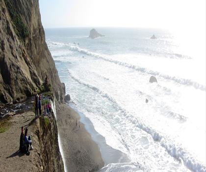 Pelican Hill, California trail - hiking in Bay Area