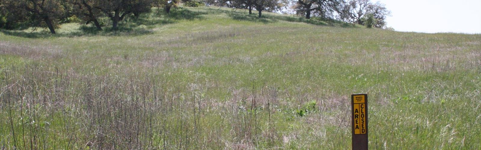 Monument Hill, California trail - hiking in Inland Empire