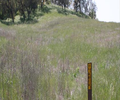 Monument Hill, California trail - hiking in Inland Empire