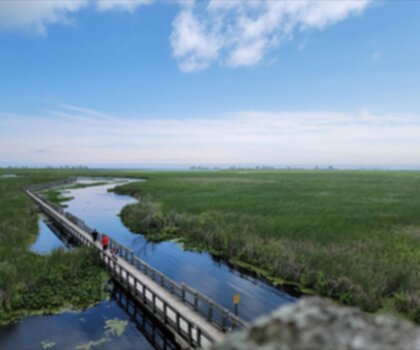 Point Pelee National Park High Point, Ontario trail - hiking in Southwest Ontario