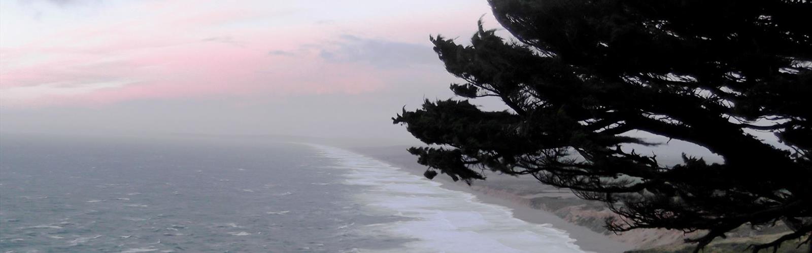 Point Reyes, California trail - hiking in Bay Area