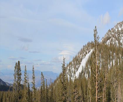 Slide Mountain, Nevada trail - hiking in Reno-Tahoe