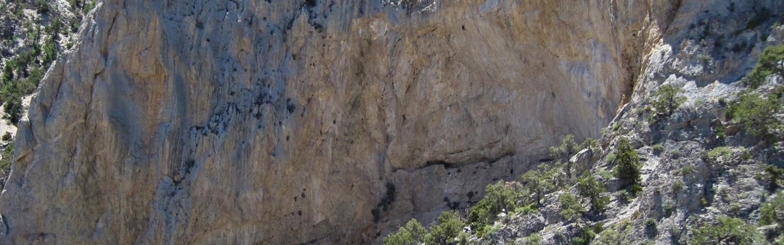 Clark Mountain, California trail - hiking in Deserts