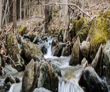 Hogback Mountain, Vermont trail - hiking in Central Vermont