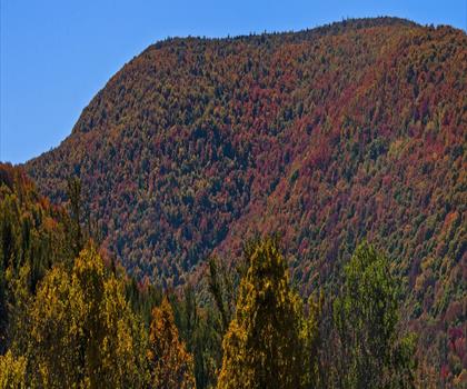 North Dome, New York trail - hiking in Catskills
