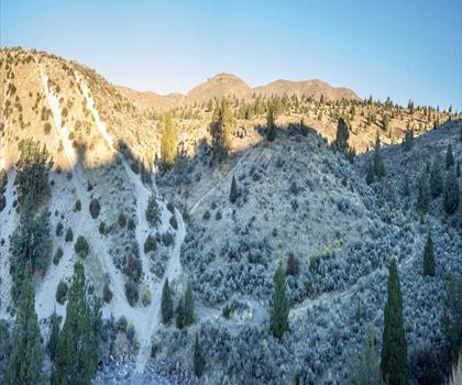 Bald Hill, California trail - hiking in Gold Country