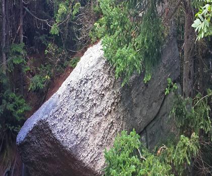 Rocky Mountain, New York trail - hiking in Catskills