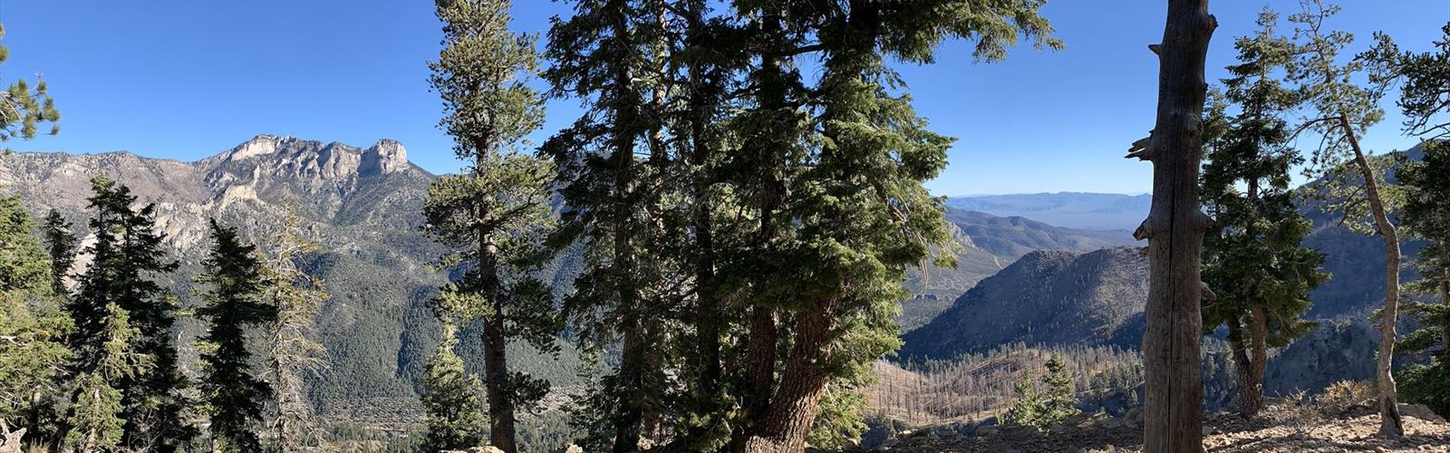 Harris Mountain, Nevada trail - hiking in Las Vegas Valley