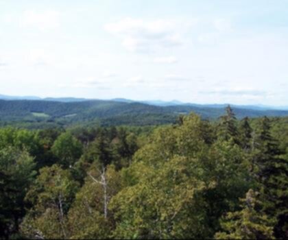 Adams Mountain, Vermont trail - hiking in Green Mountains