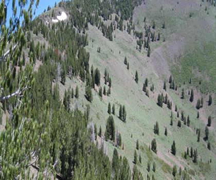 Scott Mountain, California trail - hiking in Shasta Cascade