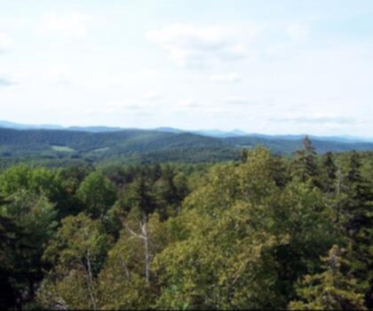 Antone Mountain, Vermont trail - hiking in Southern Vermont
