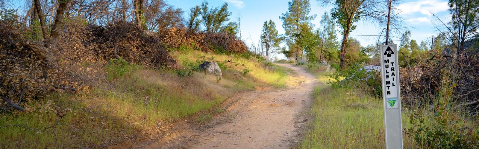 Oak Knoll, California trail - hiking in Gold Country
