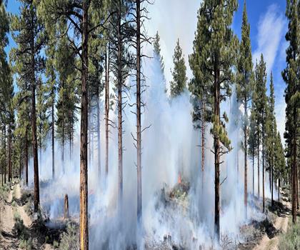 Sentier Long Valley Caldera, California - randonnée en Sierra Nevada