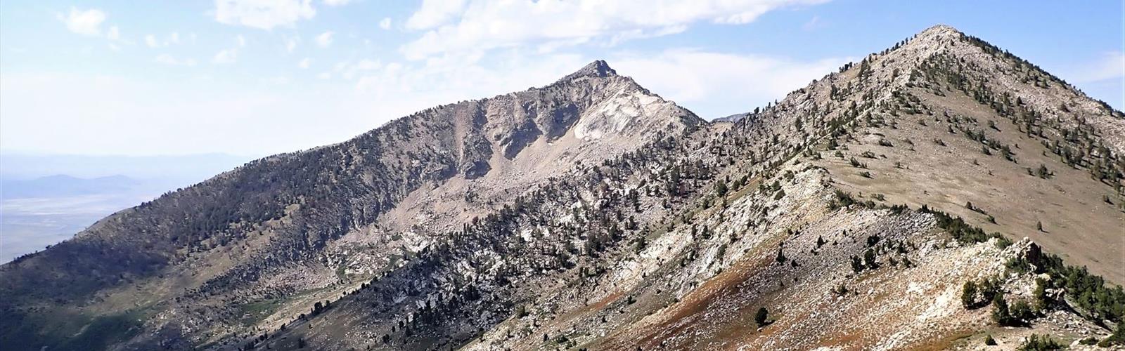 King Peak, Nevada trail - hiking in Cowboy Country