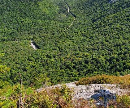 Old Speck Mountain trail - hiking in Western Mountains