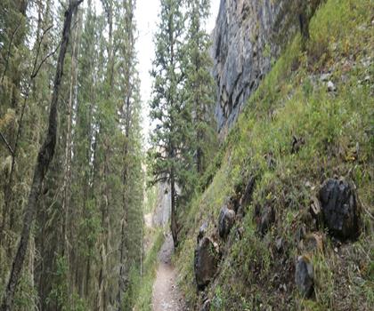 Sentier White Buddha trailhead Kananaskis - randonnée en Canadian Rockies