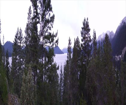 Whytecliff Park | West Vancouver trail - hiking in Vancouver Coast Mountains