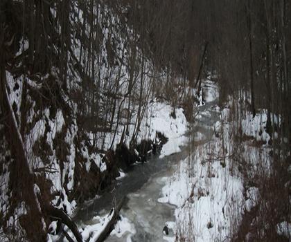 Carpenter Falls trail - hiking in Finger Lakes