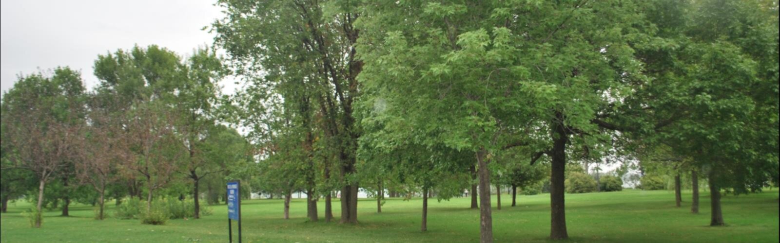 Sentier Parc De La Promenade-bellerive - randonnée en Montréal