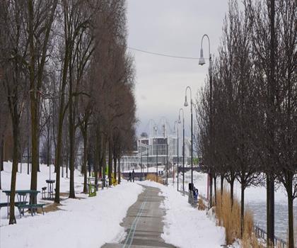Martin Goodman Trail trail - hiking in Greater Toronto Area