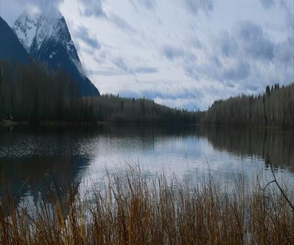 Ross Lake Park trail - hiking in Northern British Columbia