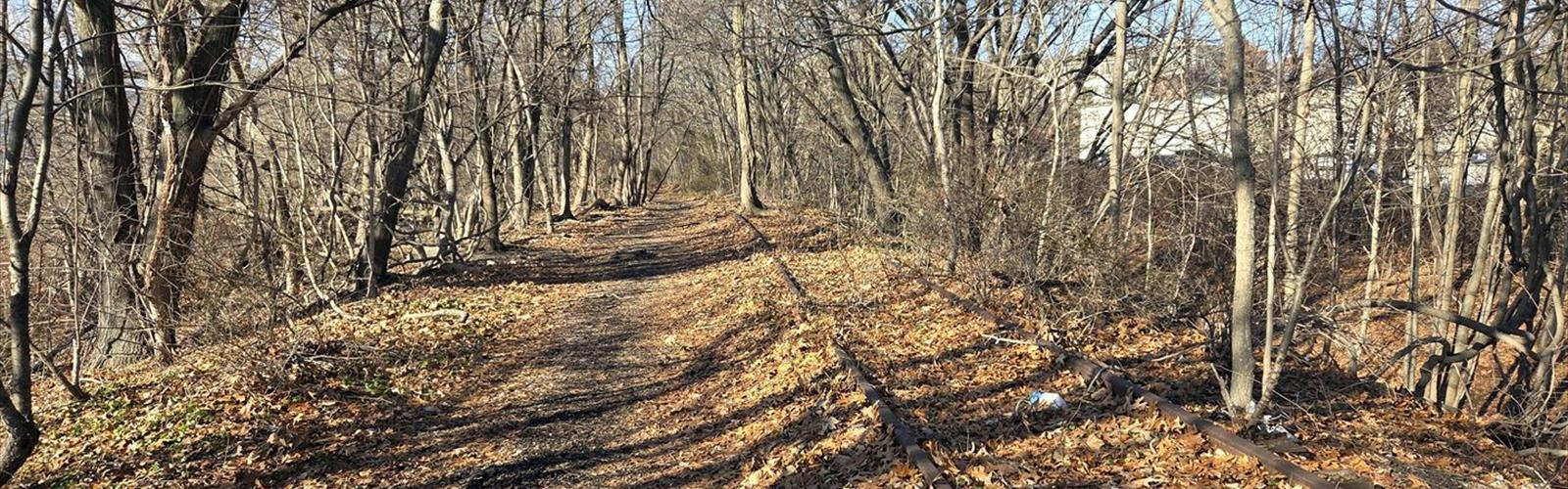 Gano Park trail - hiking in Providence Area