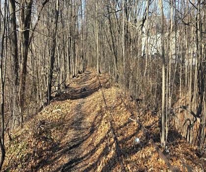 Gano Park trail - hiking in Providence Area