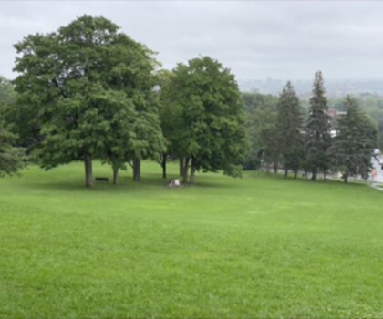 King George Park trail - hiking in Montréal