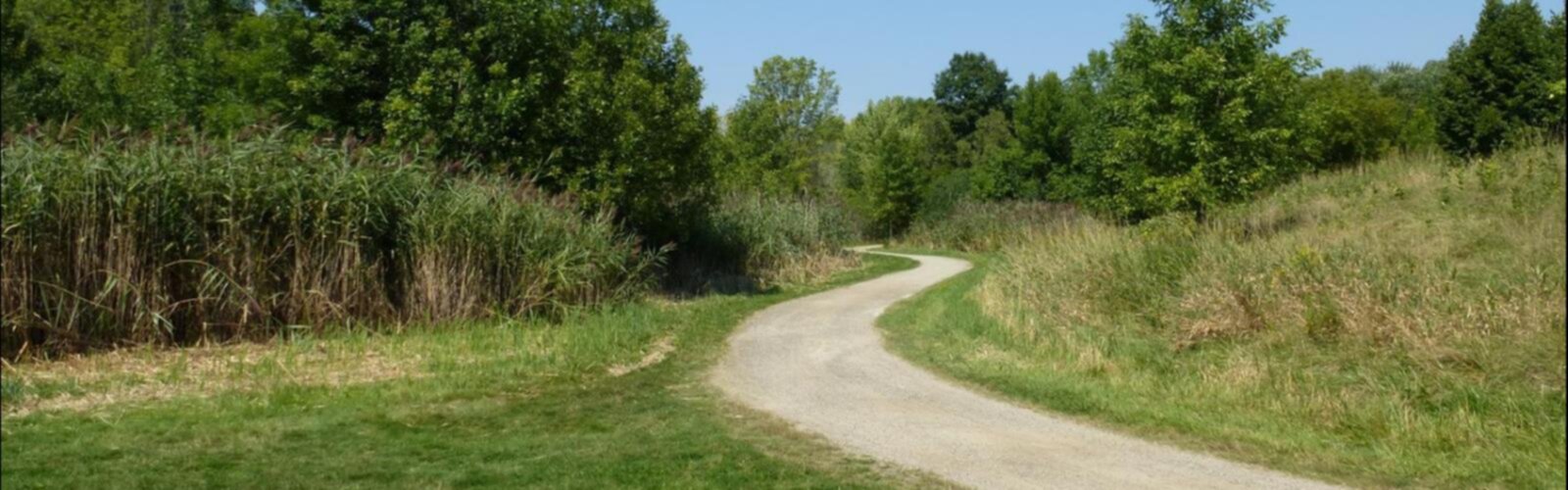 Hiking Parc du Boisé-Jean-Milot - panoramic view