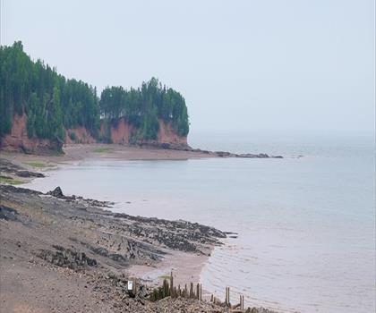 Burntcoat Head Park trail - hiking in Bay of Fundy & Annapolis Valley