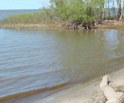 Sentier lac Manitoba - randonnée en Région entre-les-lacs