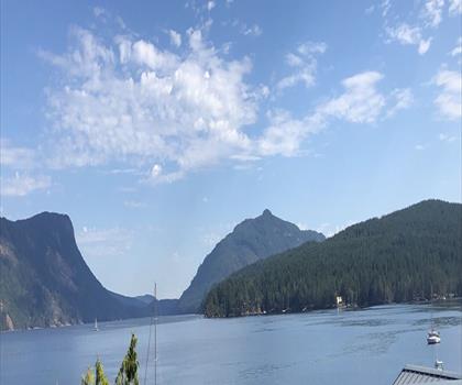 Maple Mountain trail - hiking in Vancouver Island