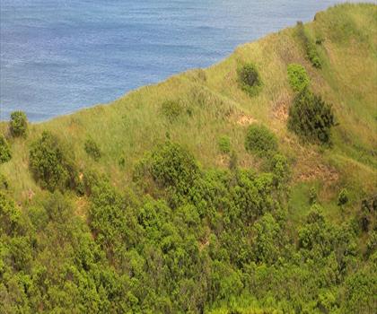 Cape Cod National Seashore trail - hiking in Cape Cod