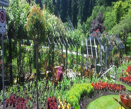 Stanley Park Rose Garden trail - hiking in Vancouver Coast Mountains